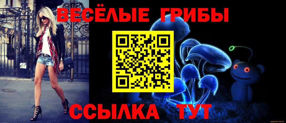 Псилоцибиновые грибы мицелий  Псилоцибиновые грибы ЛСД  Вход с VPN  цена наркотик  Волгоград 